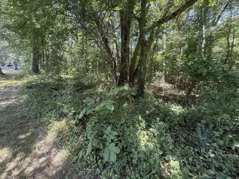 tbd Snider Rd, Kirby, AR 71950 photo 5