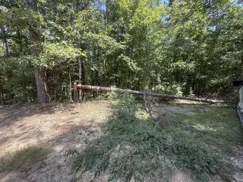 tbd Snider Rd, Kirby, AR 71950 photo 7