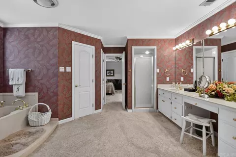 Bath - 209 Morningside Dr, Bryant, AR 72022 photo 3 of 5