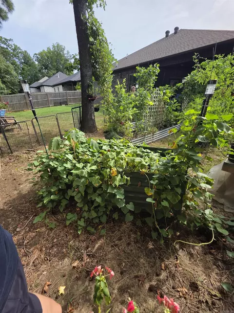 Exterior - 2809 Whisker Way, Benton, AR 72015 photo 8 of 11