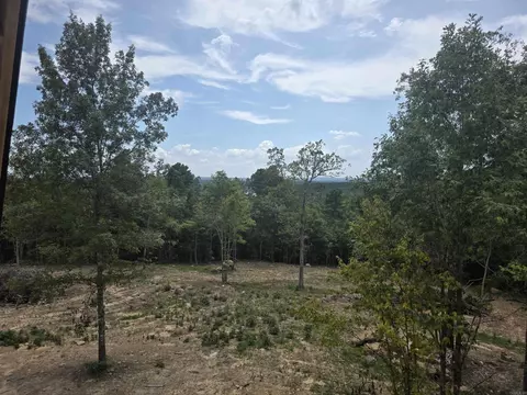 Exterior - 100 Scenic Vw, Edgemont, AR 72044 photo 5 of 7