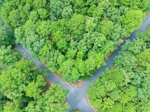 2 Moncada Way, Hot Springs Village, AR 71909
