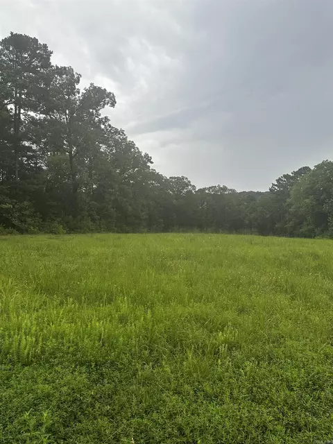 lot70 Cobalt Bay Dr, Shirley, AR 72153