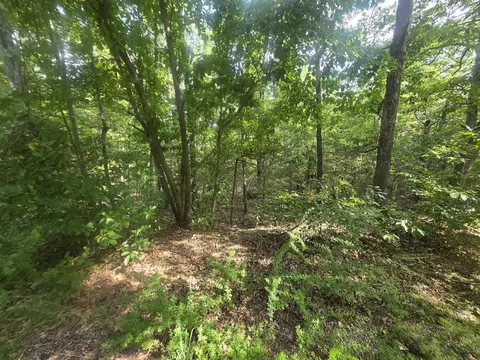 L10b4 Anadarko Drive, Cherokee Village, AR 72529