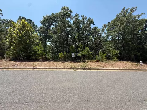 183 Ridgeview Trl, Maumelle, AR 72113 photo 1