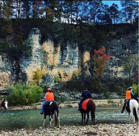 View/Area - 704 Osborne Rd, Saint Joe, AR 72675 photo 3 of 3