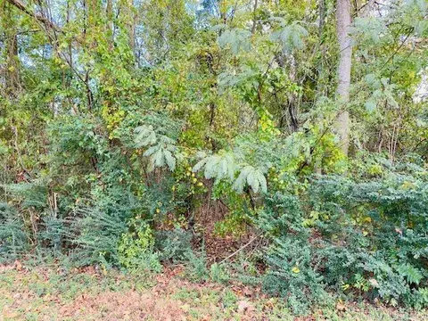 Unk Maple Street, Mena, AR 71953 photo 6