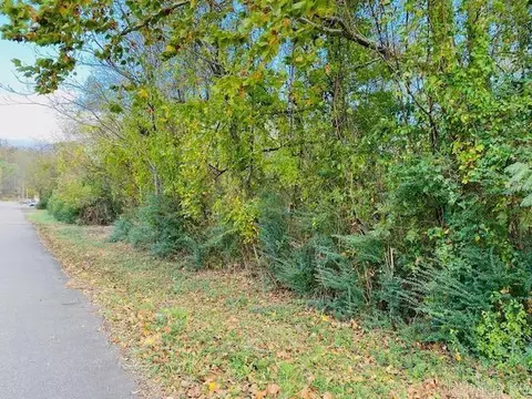 Unk Maple Street, Mena, AR 71953 photo 5