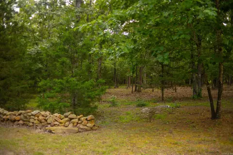 4193 Brewer Rd, Edgemont, AR 72044 photo 25
