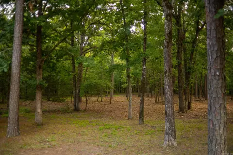 4193 Brewer Rd, Edgemont, AR 72044 photo 23