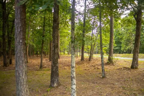 4193 Brewer Rd, Edgemont, AR 72044 photo 24
