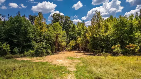29 Audubon, Conway, AR 72032 photo 5