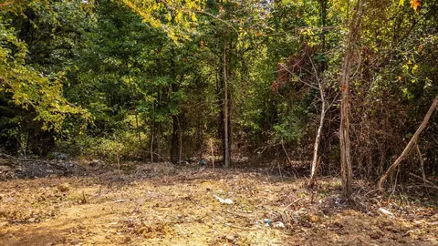 29 Audubon, Conway, AR 72032 photo 6