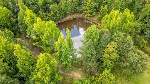 29 Audubon, Conway, AR 72032 photo 16
