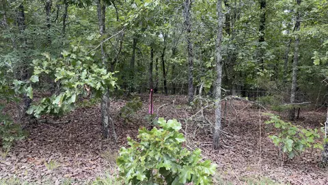 00 E Cricket Rd, Cabot, AR 72023 photo 3
