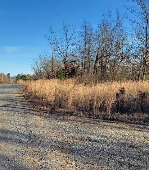 19 Manna Ln, Conway, AR 72032 photo 8