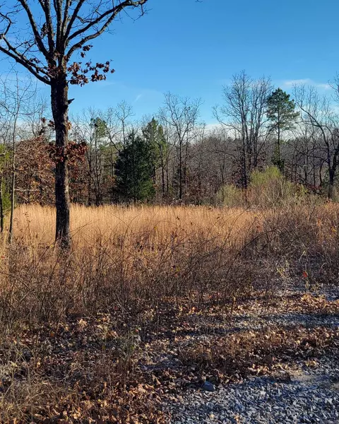 19 Manna Ln, Conway, AR 72032 photo 16