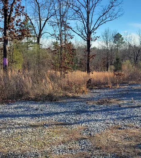 19 Manna Ln, Conway, AR 72032 photo 9