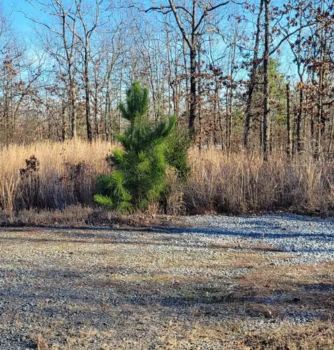 19 Manna Ln, Conway, AR 72032 photo 7