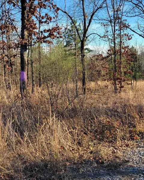19 Manna Ln, Conway, AR 72032 photo 10