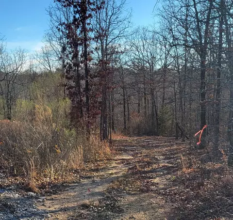 19 Manna Ln, Conway, AR 72032 photo 15