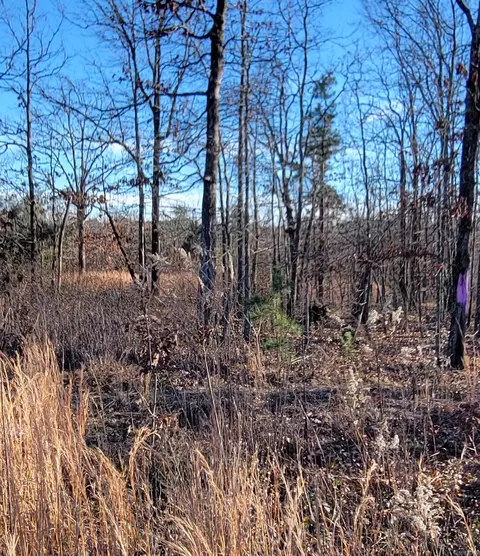 19 Manna Ln, Conway, AR 72032 photo 6