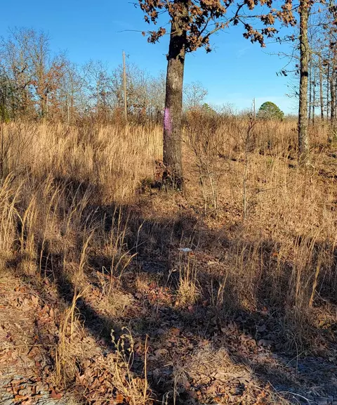19 Manna Ln, Conway, AR 72032 photo 17