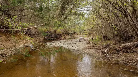 680 Acklin Gap Rd, Conway, AR 72032 photo 8