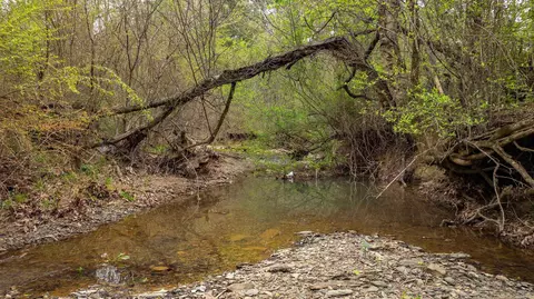 680 Acklin Gap Rd, Conway, AR 72032 photo 7