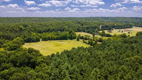 680 Acklin Gap Rd, Conway, AR 72032 photo 13