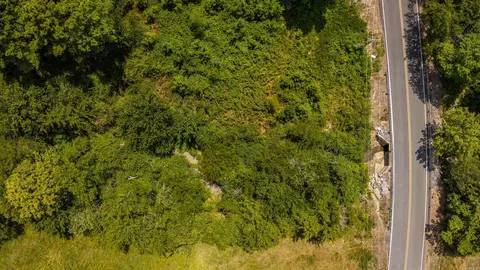 680 Acklin Gap Rd, Conway, AR 72032 photo 10