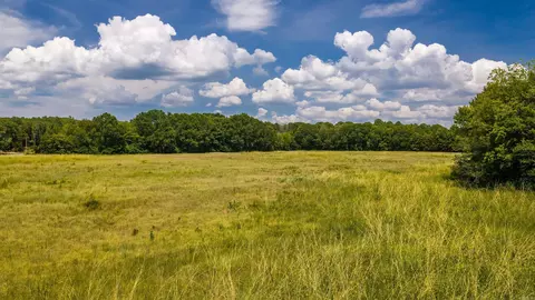 680 Acklin Gap Rd, Conway, AR 72032 photo 12