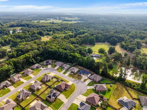 View/Area - 757 Mango Loop, Austin, AR 72007 photo 5 of 7