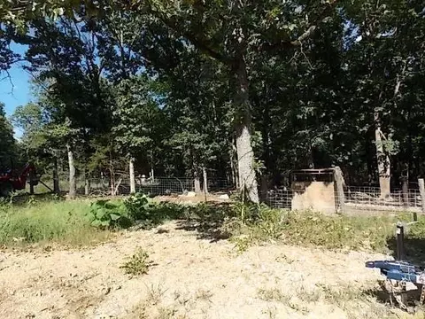 11 Eagle Dr, Williford, AR 72482 photo 6