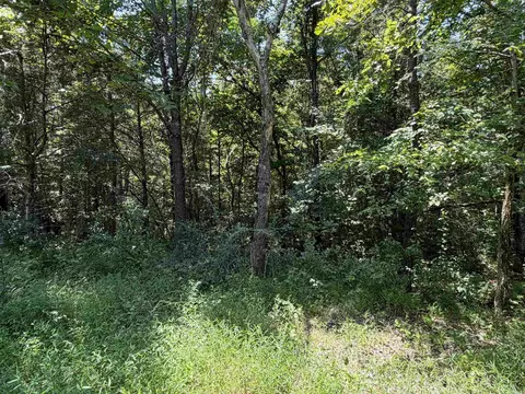 000 Tournament Dr, Mountain View, AR 72560 photo 6