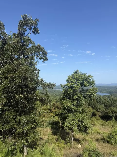tbd Ramble Rd, Murfreesboro, AR 71958 photo 4