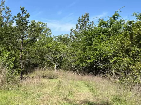 tbd Ramble Rd, Murfreesboro, AR 71958 photo 12
