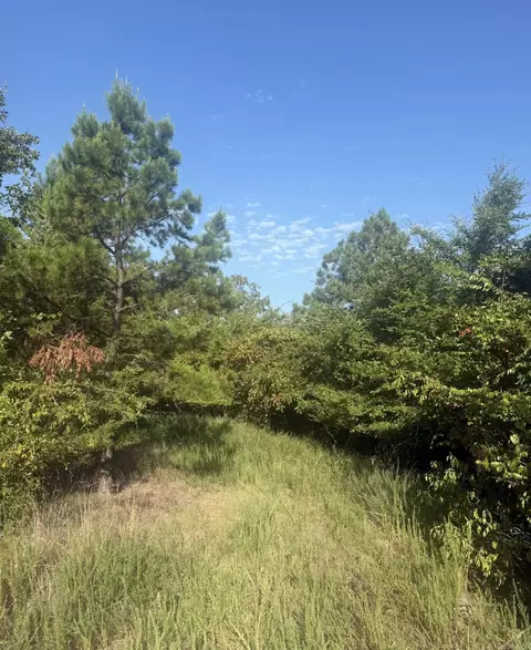 tbd Ramble Rd, Murfreesboro, AR 71958 photo 16