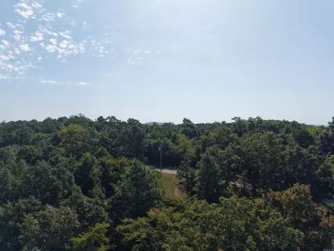tbd Ramble Rd, Murfreesboro, AR 71958 photo 5