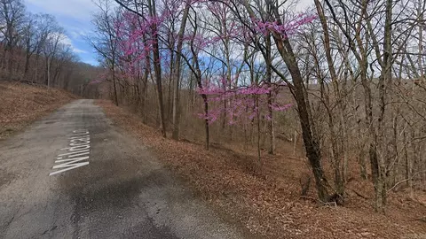 lot5 Wildcat Ln, Holiday Island, AR 72631
