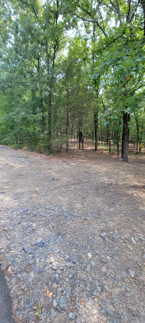 0 Lower Ridge Rd, Conway, AR 72032 photo 15
