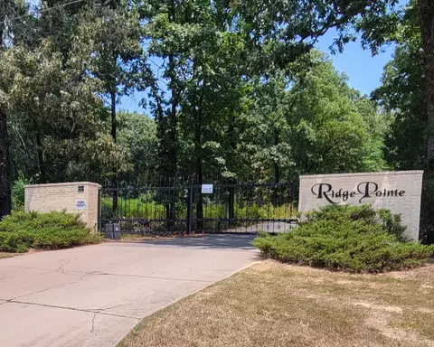 0 Lower Ridge Rd, Conway, AR 72032 photo 13