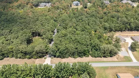 0 Lower Ridge Rd, Conway, AR 72032 photo 9