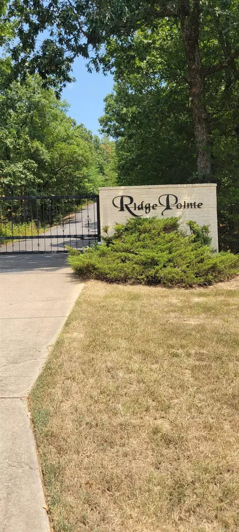 0 Lower Ridge Rd, Conway, AR 72032 photo 16