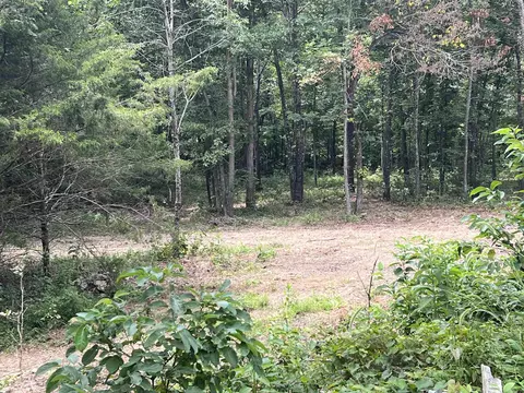 528 Black Oak Rd, Mammoth Spring, AR 72554 photo 7