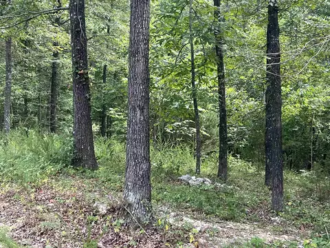 528 Black Oak Rd, Mammoth Spring, AR 72554 photo 8