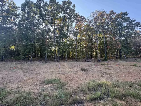Other - 66 7 Lakes Ranch Blvd, Conway, AR 72032 photo 1 of 4