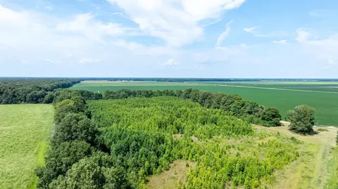 0 N Gray Rd, Des Arc, AR 72040 photo 16