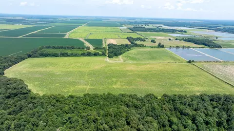0 N Gray Rd, Des Arc, AR 72040 photo 6
