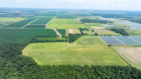 0 N Gray Rd, Des Arc, AR 72040 photo 5
